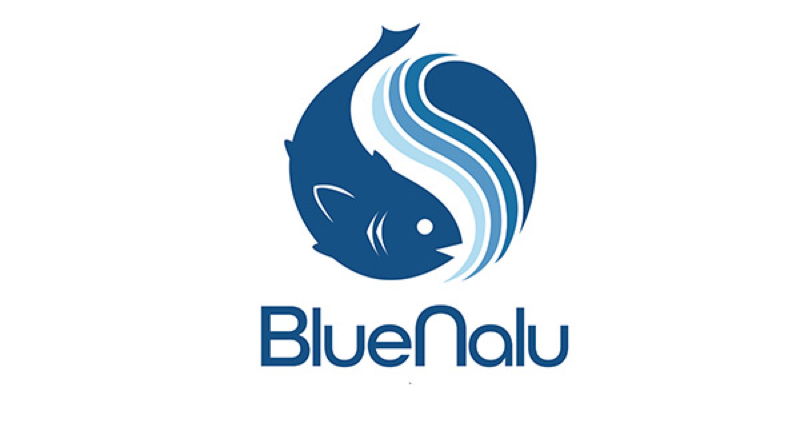bluenalu.jpeg.png