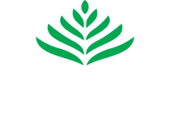 Organic certification logo