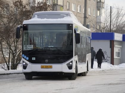 На городские маршруты вышли новые автобусы