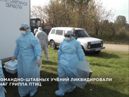 Успешная ликвидация очага птичьего гриппа в Свердловской области