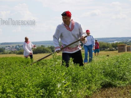 IX Турнир косарей в Артинском районе снова собрал  участников и зрителей из разных регионов России