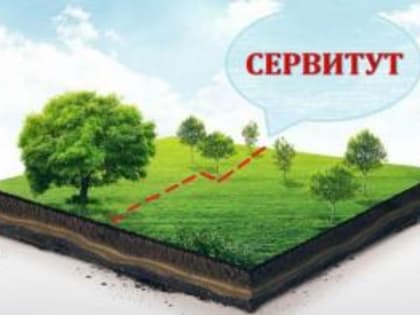 Установление сервитута (публичного сервитута) в отношении земельного участка, находящегося в государственной и муниципальной собственности через Госуслуги