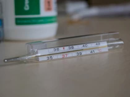 В Челябинской области ожидается всплеск заболеваемости гриппом