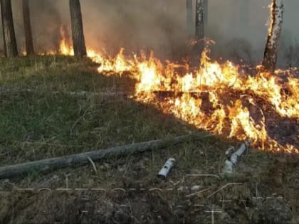 Полевской городской округ признан чрезвычайно пожароопасным