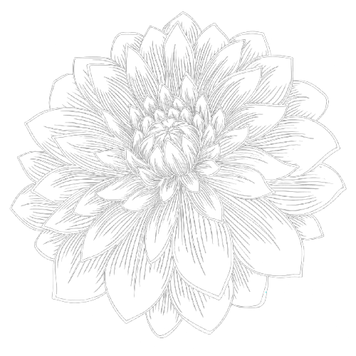 DLF The Dahlias