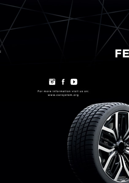 v156986_v156990_fly_d.pdf