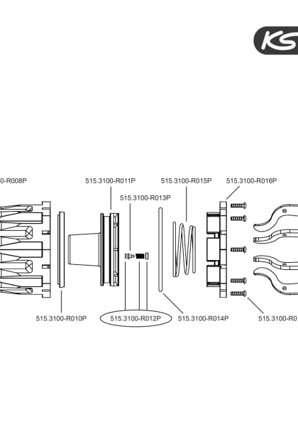 81011_250912_dok_pro_alg_expl_515.3100_sall_aqu_v1.pdf