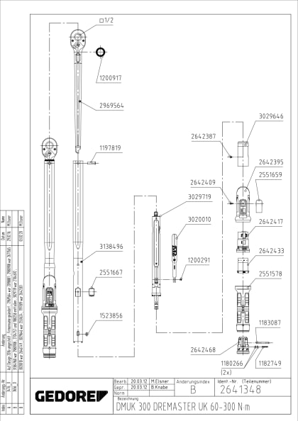 81013_2641348_tz.pdf