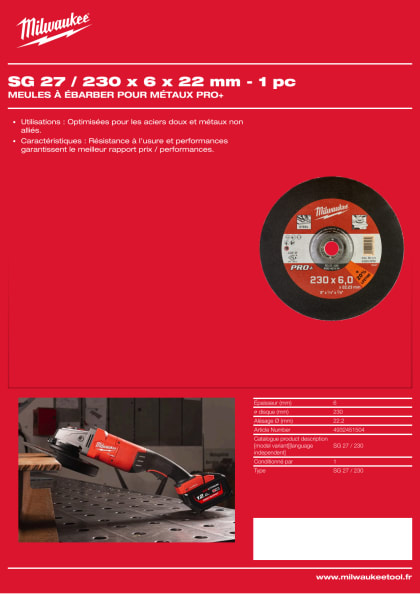 81077_2603_4932451504_produktdatenblatt_fr.pdf