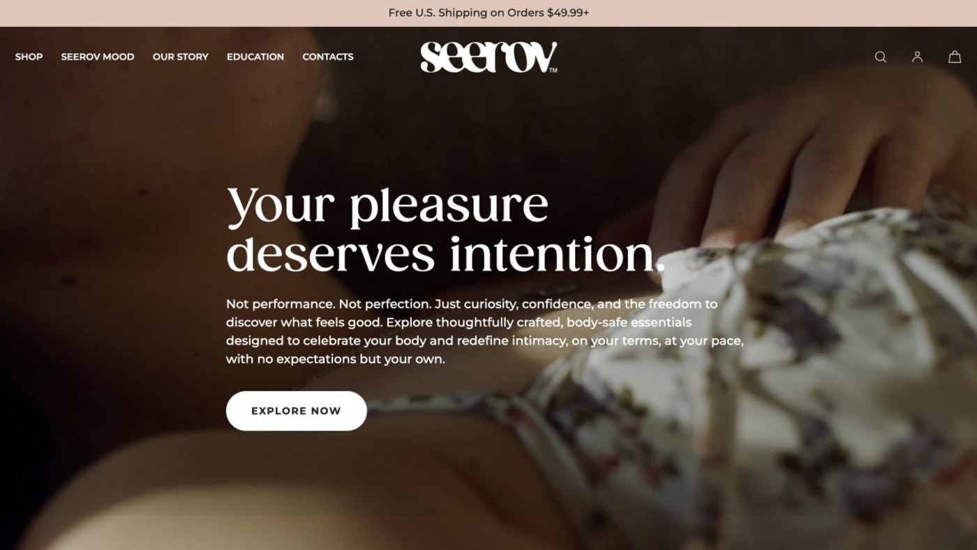 Seerov website screenshot