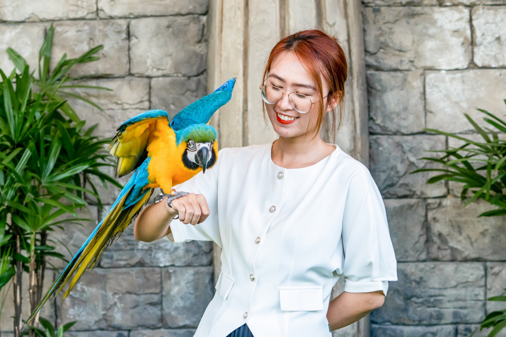 Sun World Hạ Long Sun World Hạ Long