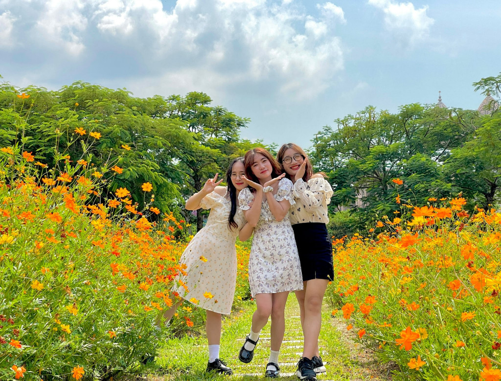 Sun World Hạ Long Sun World Hạ Long