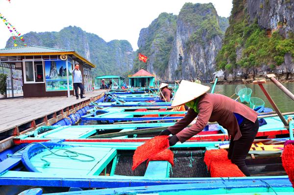Nghề chèo đò trên vịnh Hạ Long Nghề chèo đò trên vịnh Hạ Long