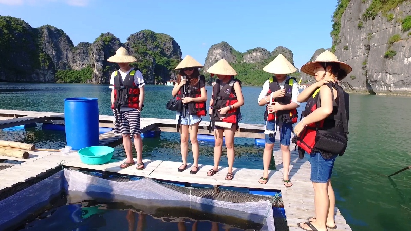 Nghề chèo đò trên vịnh Hạ Long Nghề chèo đò trên vịnh Hạ Long