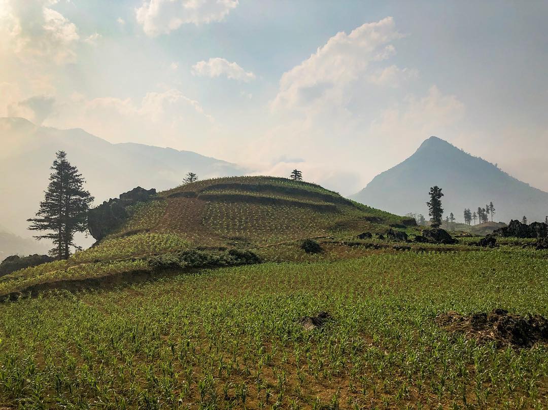 Du lịch Sapa: Cẩm nang chi tiết từ A đến Z Du lịch Sapa: Cẩm nang chi tiết từ A đến Z