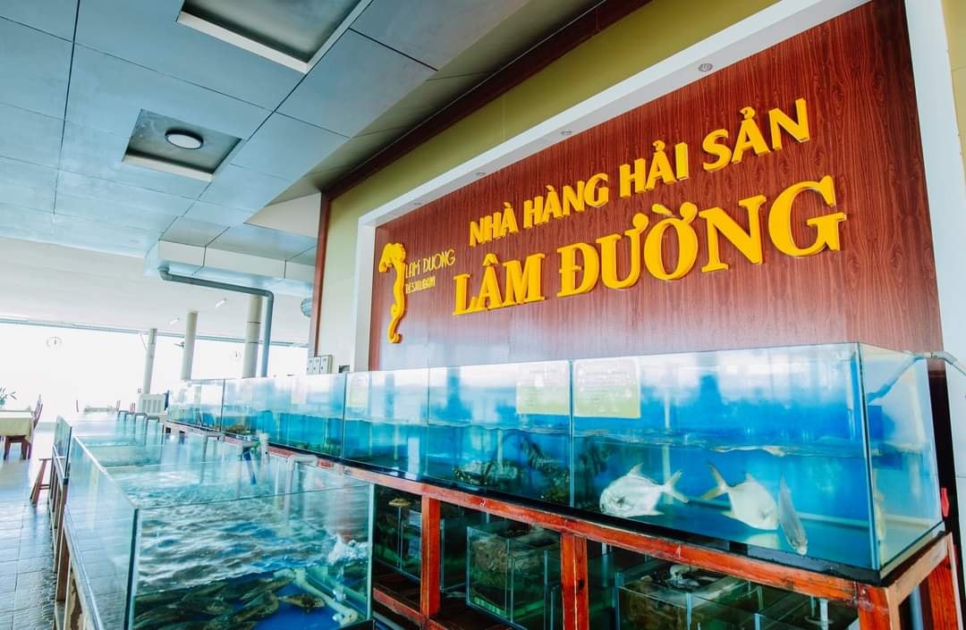 Tổng quan du lịch Vũng Tàu Tổng quan du lịch Vũng Tàu