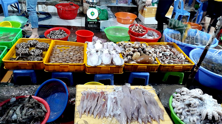 Tổng quan du lịch Vũng Tàu Tổng quan du lịch Vũng Tàu