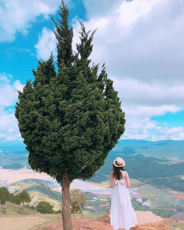 Cẩm nang du lịch Đà Lạt Cẩm nang du lịch Đà Lạt