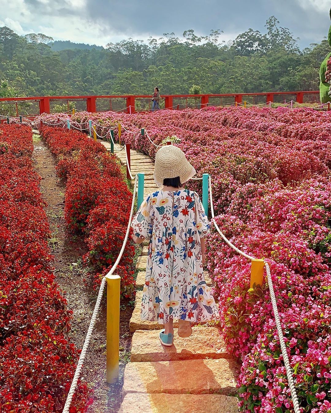 Cẩm nang du lịch Đà Lạt Cẩm nang du lịch Đà Lạt