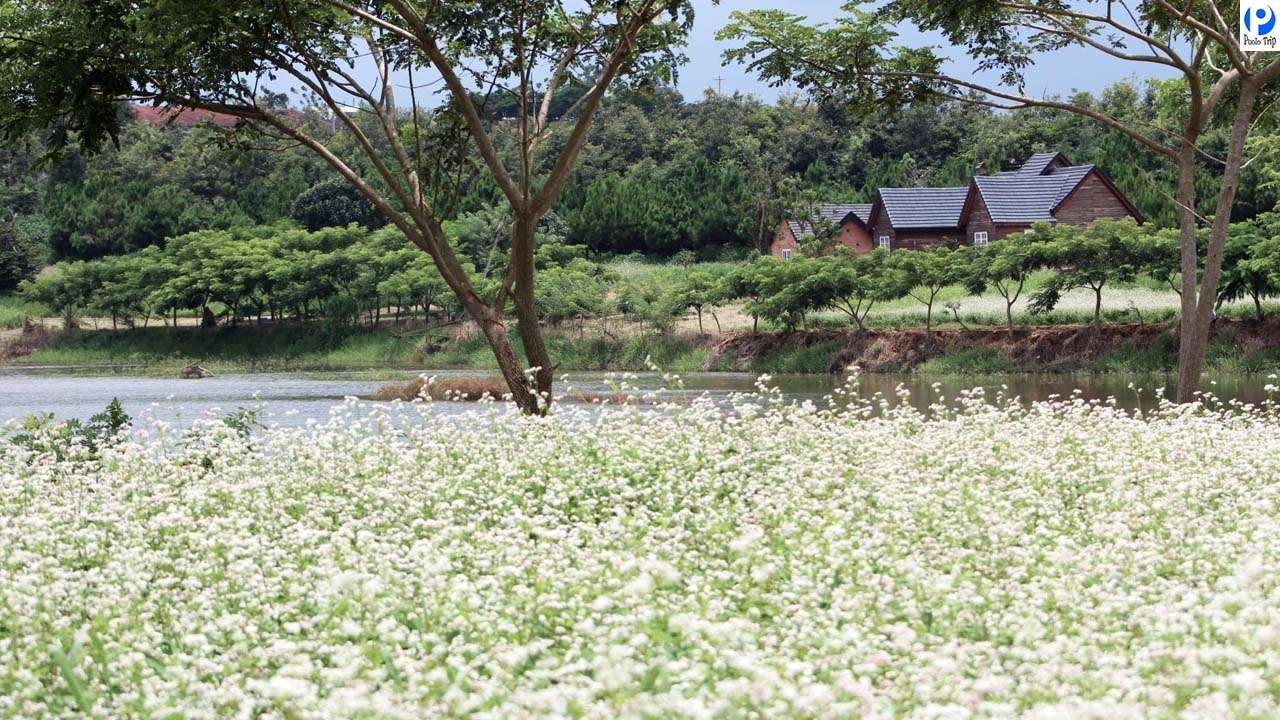 Cẩm nang du lịch Đà Lạt Cẩm nang du lịch Đà Lạt