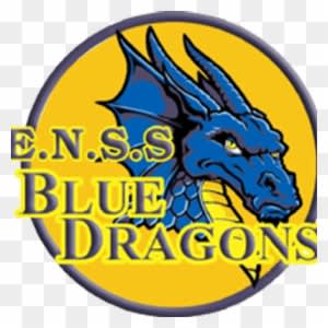 Blue Dragons Dominate Cossa Track And Field - St George Illawarra Dragons - Transparent PNG Free Download