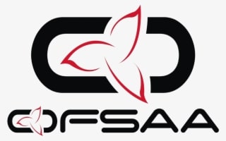 Track And Field - Hockey [ID] - Transparent PNG Free Download