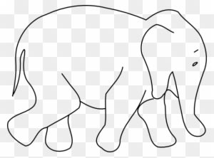 Animal Outline Drawings - Outline Picture Of Animals - Transparent PNG Free Download