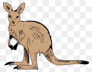 Cute Furry Kangaroo Clip Art - Animated Kangaroo Png - Transparent PNG Free Download
