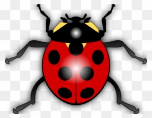 Free Vector Jilagan Ladybug Clip Art - Animated Picture Of A Ladybug - Transparent PNG Free Download