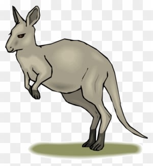 Habitat Map Clipart Kangaroo Clip Art Library - Kangaroo Animated - Transparent PNG Free Download