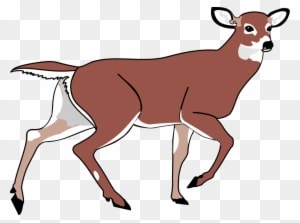 Deer Clip Art - Animated Deer Png - Transparent PNG Free Download