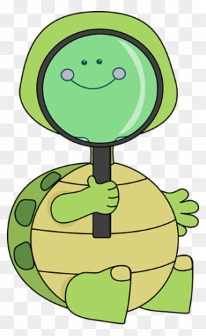 Turtle Looking Through Magnifying Glass - Baby Animals Reading Cartoon - Transparent PNG Free Download