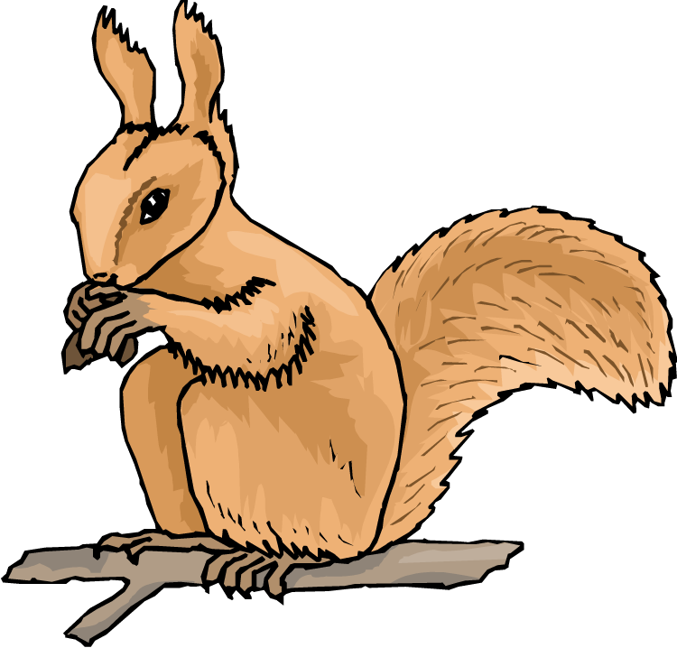 Animated Squirrel Clipart Free Squirrel Clipart Clipart - Squirrel Animated Clip Art - Transparent PNG Free Download