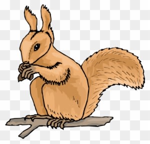 Animated Squirrel Clipart Free Squirrel Clipart Clipart - Squirrel Animated Clip Art - Transparent PNG Free Download