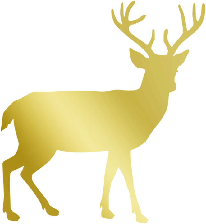 Gold, Deer, Stag, Reindeer, Christmas - Forest Animals Shower Curtain - Transparent PNG Free Download