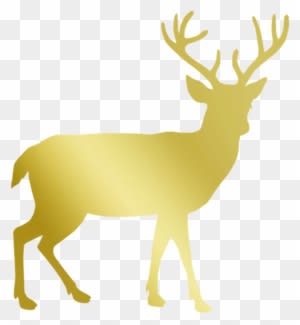 Gold, Deer, Stag, Reindeer, Christmas - Forest Animals Shower Curtain - Transparent PNG Free Download