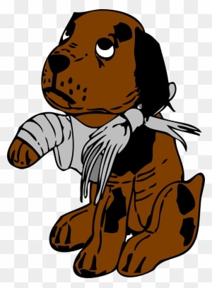 Emergency Vet Care - Hate People Who Hurt Animals - Transparent PNG Free Download