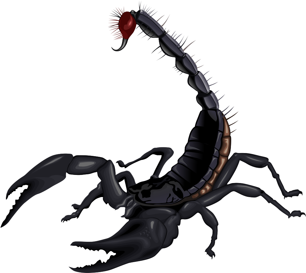 Scorpion Clip Art Hostted Wikiclipart - Most Dangerous Animal In India - Transparent PNG Free Download