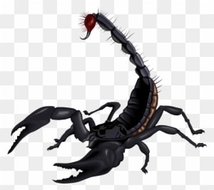 Scorpion Clip Art Hostted Wikiclipart - Most Dangerous Animal In India - Transparent PNG Free Download