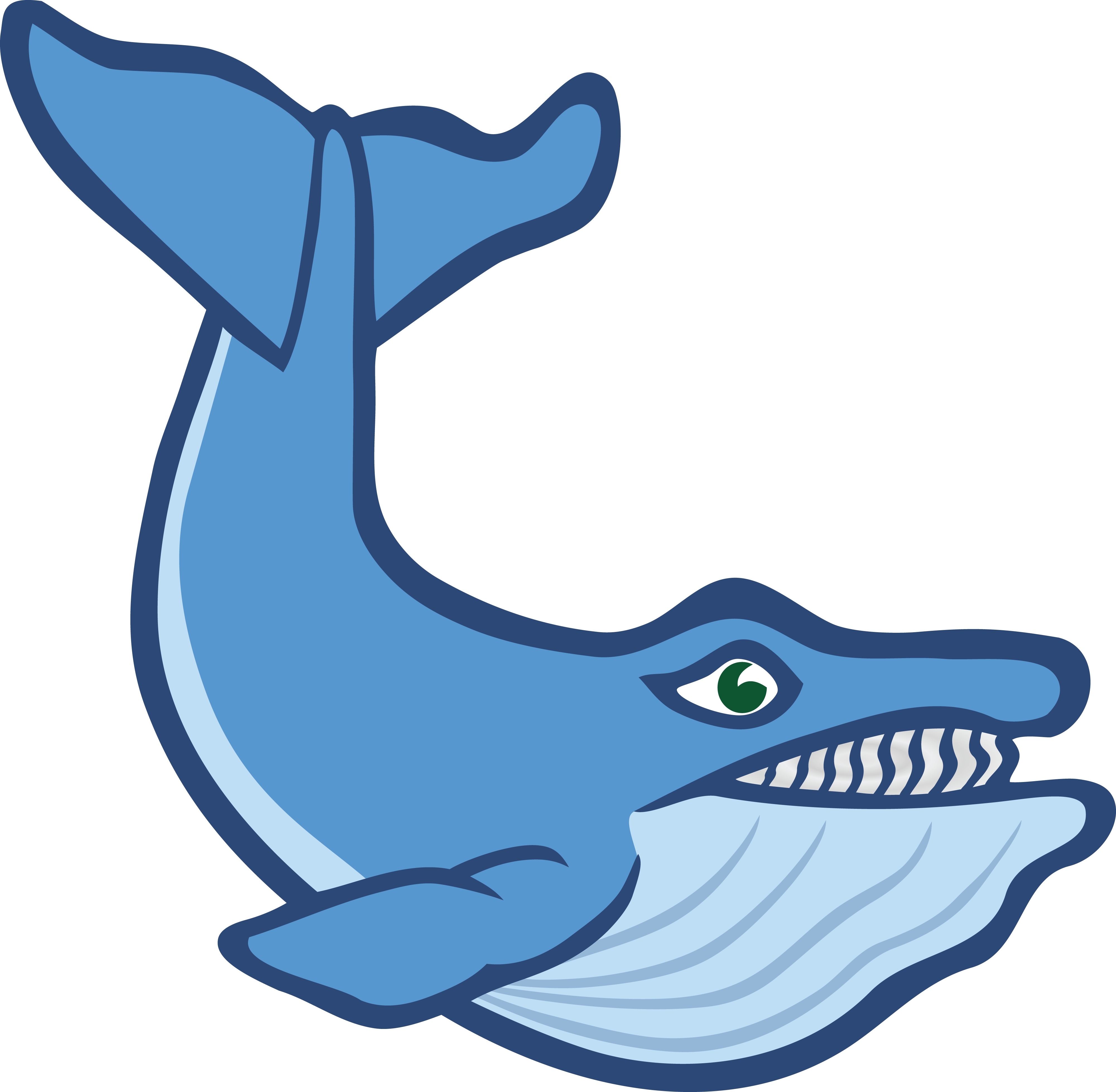 Free Clipart Of A Whale - Flash Cards For Sea Animals - Transparent PNG Free Download