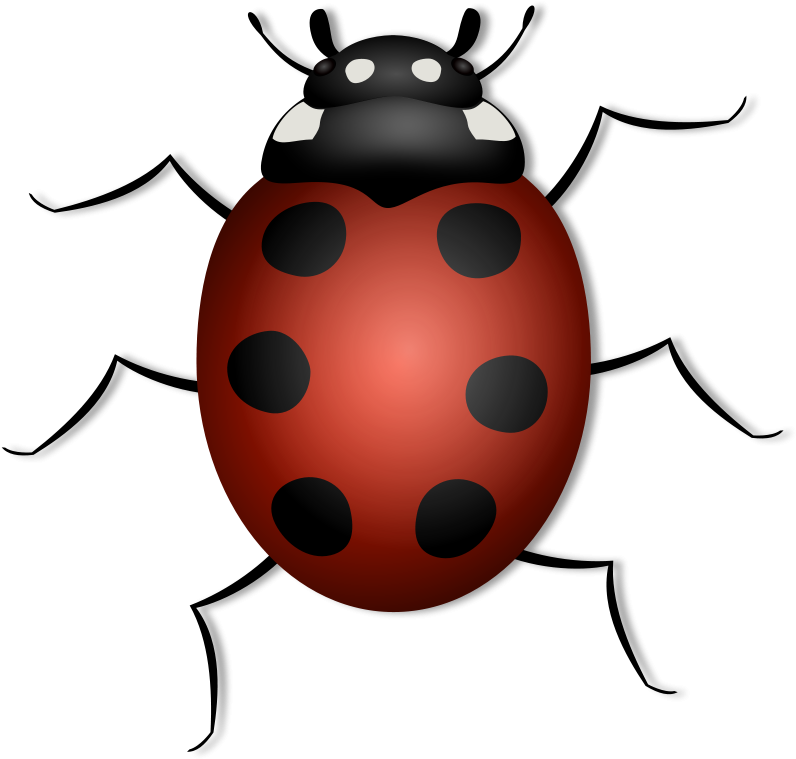 Animals With 6 Legs Clipart - Transparent PNG Free Download