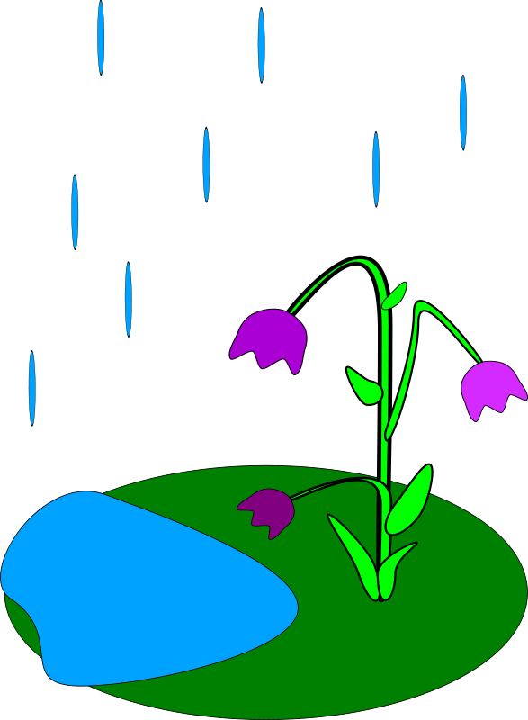 Rain Clip Art Flowers - May Animated Clipart - Transparent PNG Free Download