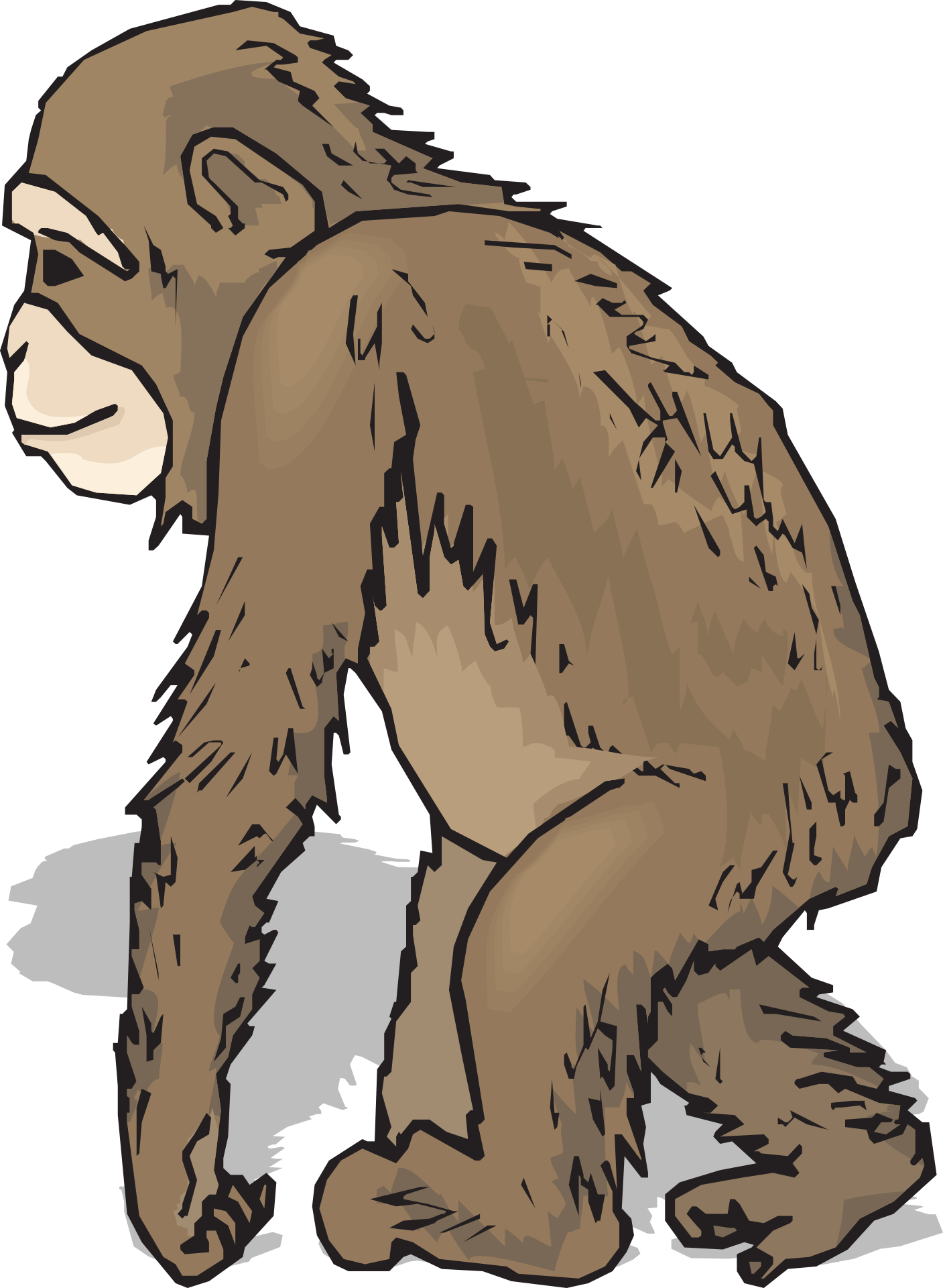 Animals With Fur Clipart - Transparent PNG Free Download