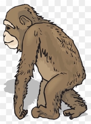 Animals With Fur Clipart - Transparent PNG Free Download