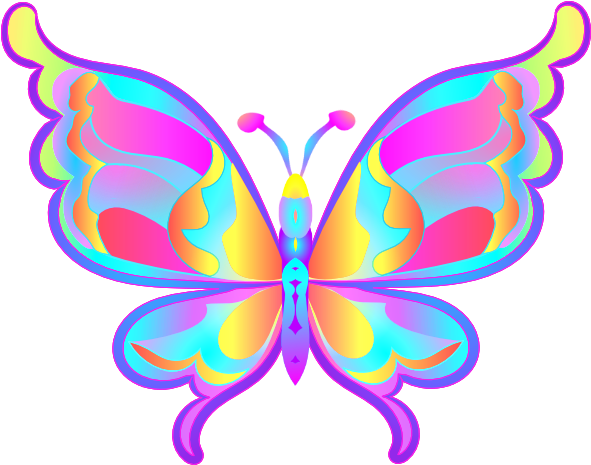 All Non - Animated Pictures Of Butterfly - Transparent PNG Free Download