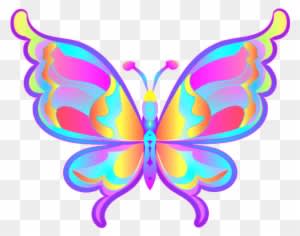 All Non - Animated Pictures Of Butterfly - Transparent PNG Free Download