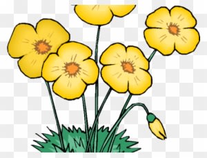Flower Sale - Animated Flowers - Transparent PNG Free Download