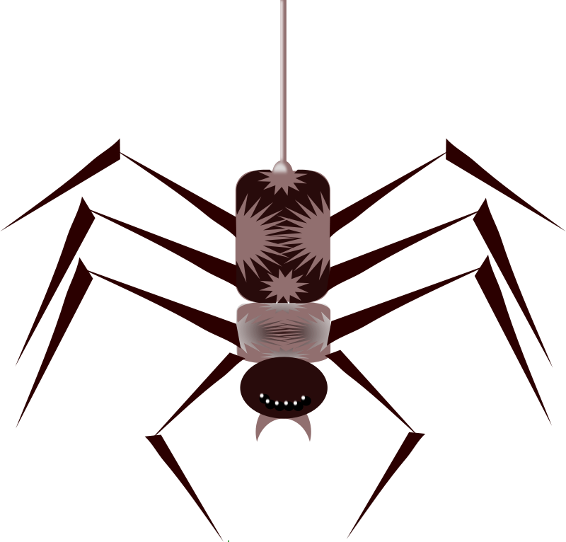 Spider Animated Gif Png - Transparent PNG Free Download