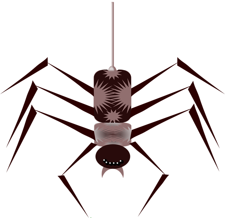 Spider Animated Gif Png - Transparent PNG Free Download