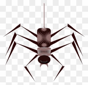 Cartoon, Bugs, Spider, Bug, Free, Web, Insect, Insects - Spider Animated Gif Png - Transparent PNG Free Download